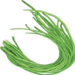 VleWqXsdHrOCDgC0mrkh1HVCu0J9pl9sH9yeXwZc