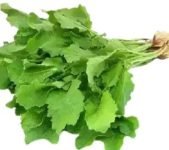 sharisa_shak_cropped